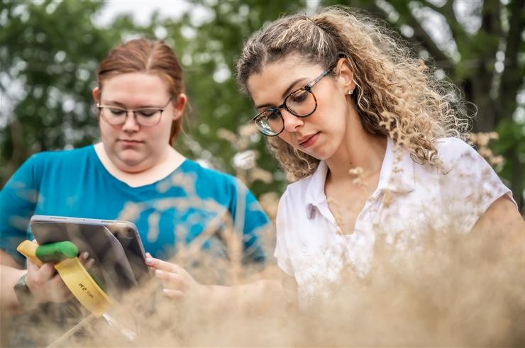 students in St. Ambrose University's Doctor of Occupational Therapy Program